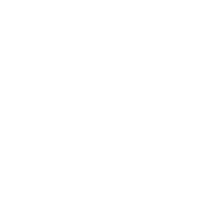 Icon für das Sanitätshaus